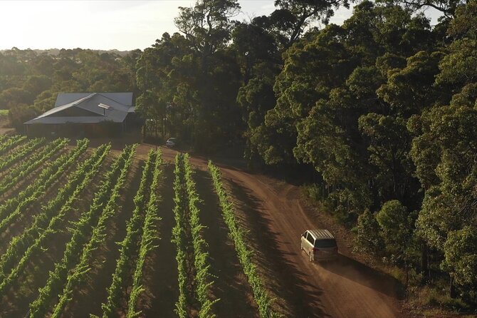 Hidden Gems: Boutique Full-Day Wine, Farm & Lunch Tour - Temper Temper brings a quick hit of chocolate and coffee