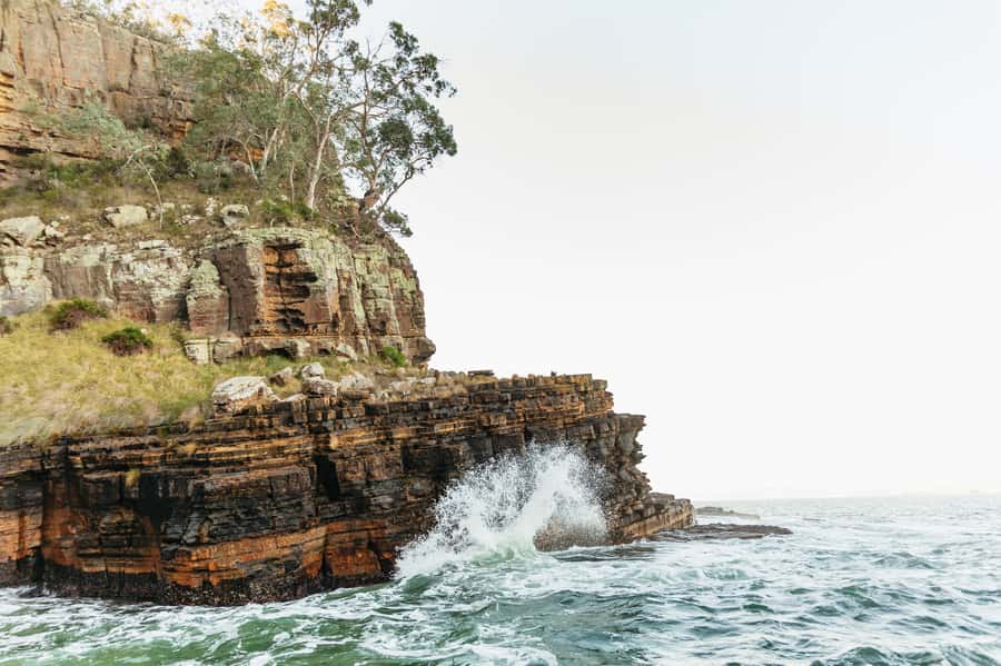 Hobart: 2.5-hour Iron Pot Lighthouse Cruise - Betsey Island and the search for seabirds