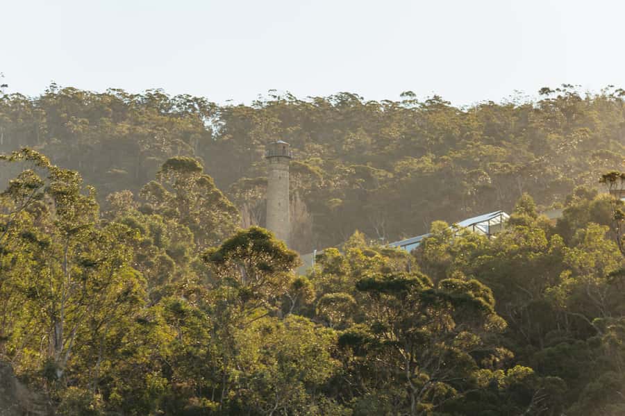 Hobart: 2.5-hour Iron Pot Lighthouse Cruise - The guide makes the small group work
