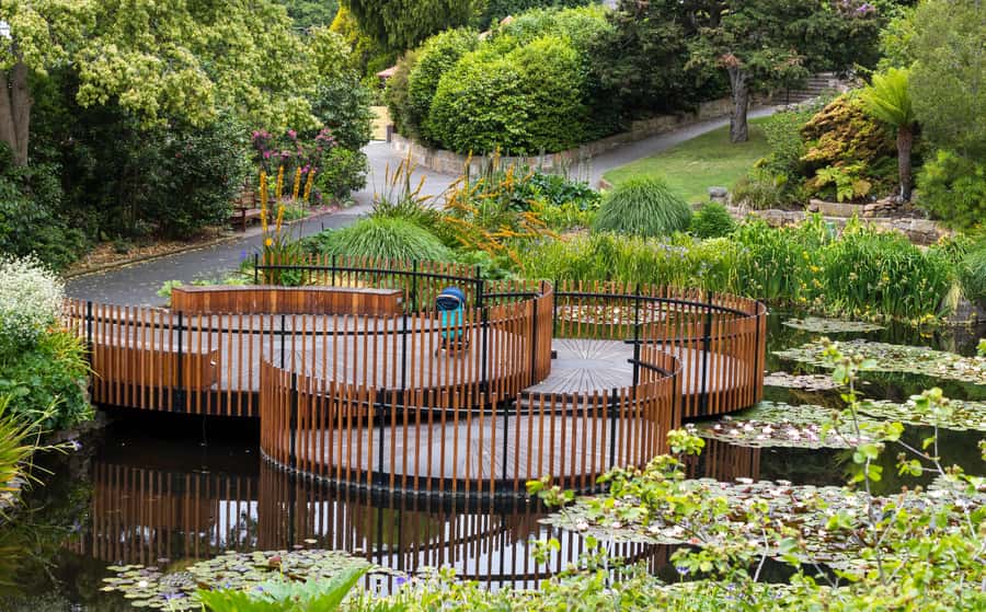 Hobart: 3-Hour City Sightseeing Tour - Government House, the Tasman Bridge, and Rosny Hill