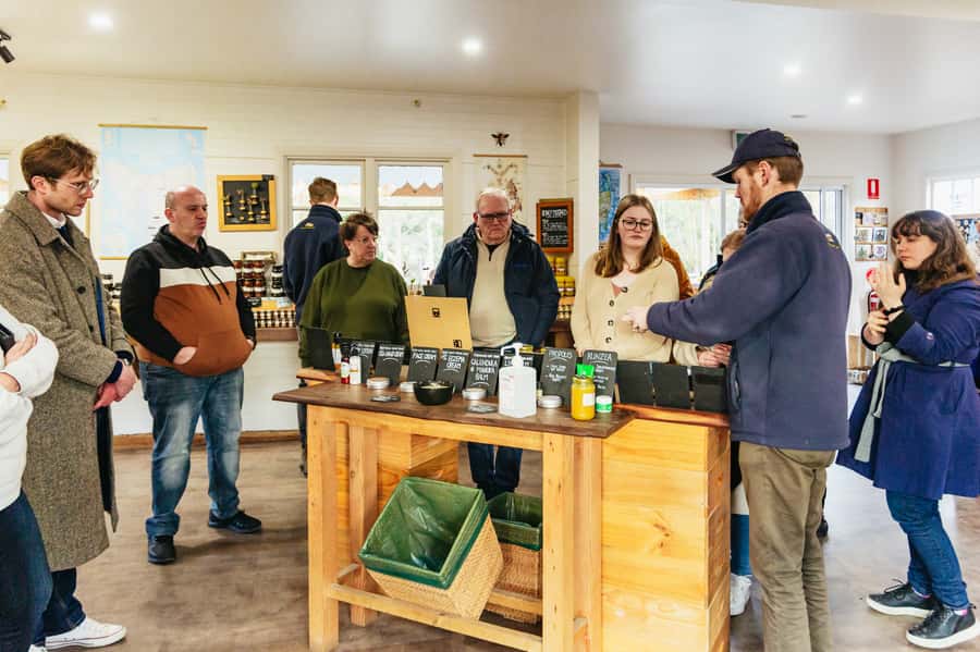 Hobart: Bruny Island Gourmet Sightseeing Day Tour - How the transport and guiding affect the day