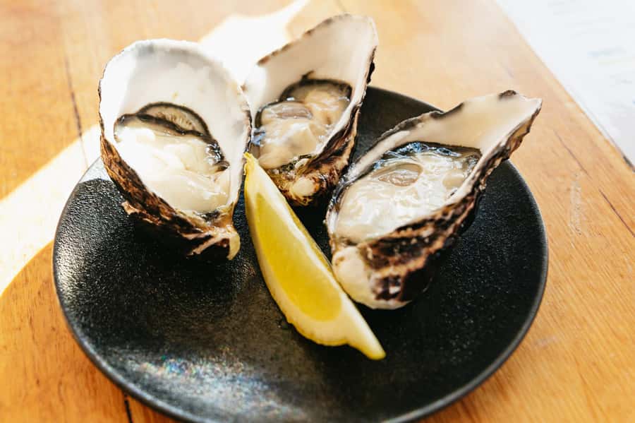 Hobart: Bruny Island Gourmet Sightseeing Day Tour - History at the Bligh Museum