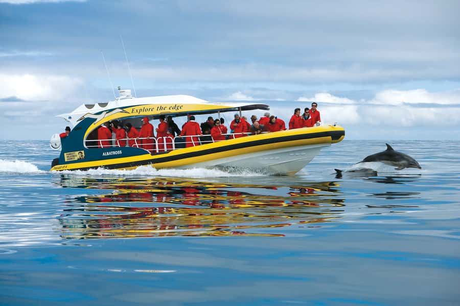 Hobart: Bruny Island Wilderness Coast Eco Cruise with Lunch - Truganini Lookout and the first island views