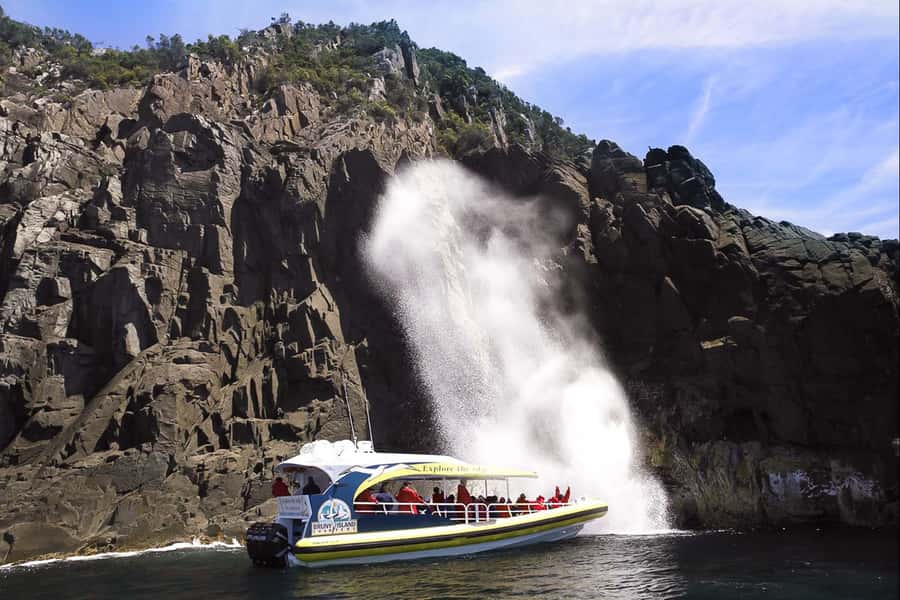 Hobart: Bruny Island Wilderness Coast Eco Cruise with Lunch - Morning tea with a blueberry muffin