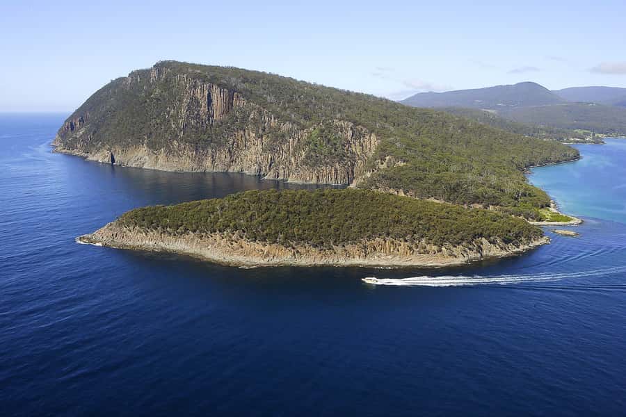 Hobart: Bruny Island Wilderness Coast Eco Cruise with Lunch - Friar Rocks, seals, dolphins, and whales