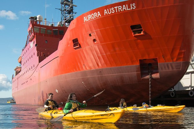 Hobart Kayak Tour - The 7-hour cliffs, caves, and beaches trip