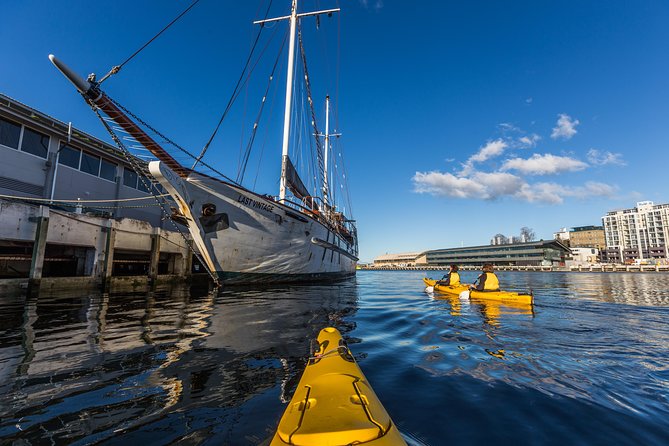Hobart Kayak Tour - The guides make the difference