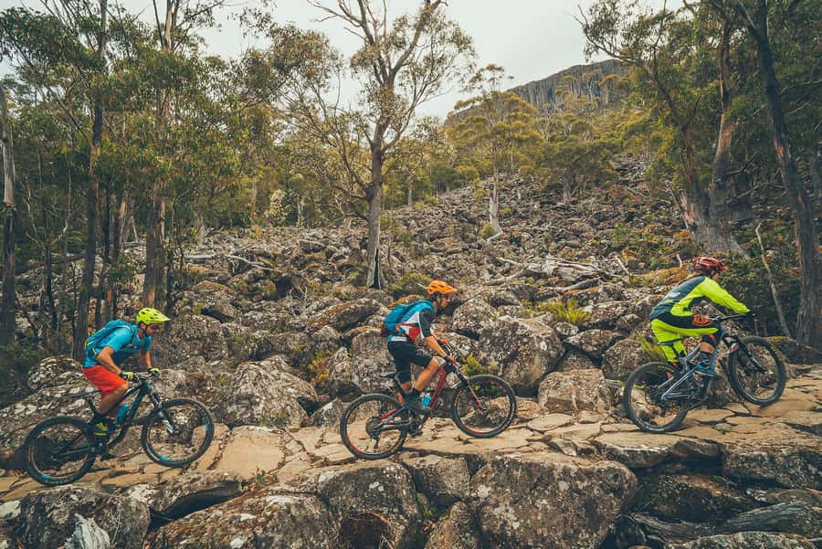 Hobart: kunanyi/Mt Wellington Explorer Bus Pass - What the $35 price really buys you