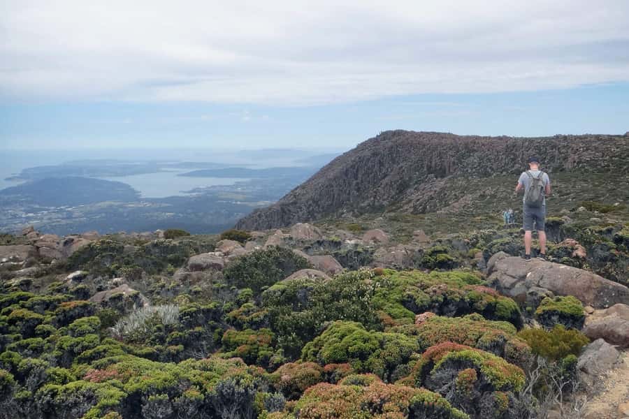Hobart: kunanyi/Mt Wellington Explorer Bus Pass - Fern Tree gives you the first chance to slow down