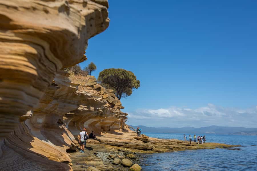 Hobart: Maria Island National Park Active Full-Day Tour - The Early Start From Hobart
