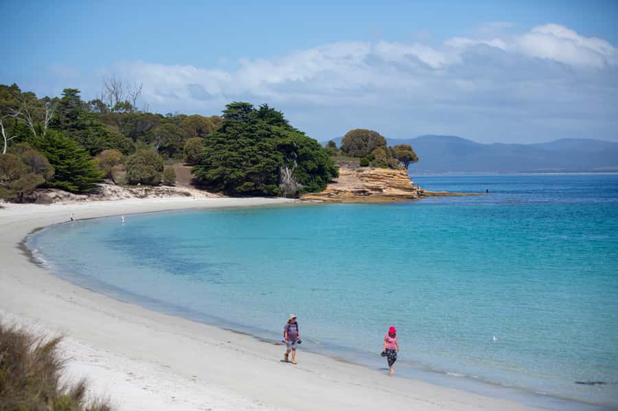 Hobart: Maria Island National Park Active Full-Day Tour - Darlington: Convict History Without a Museum Glass Case
