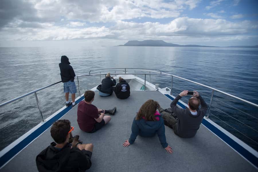 Hobart: Maria Island National Park Active Full-Day Tour - How Hard Is the Walking?