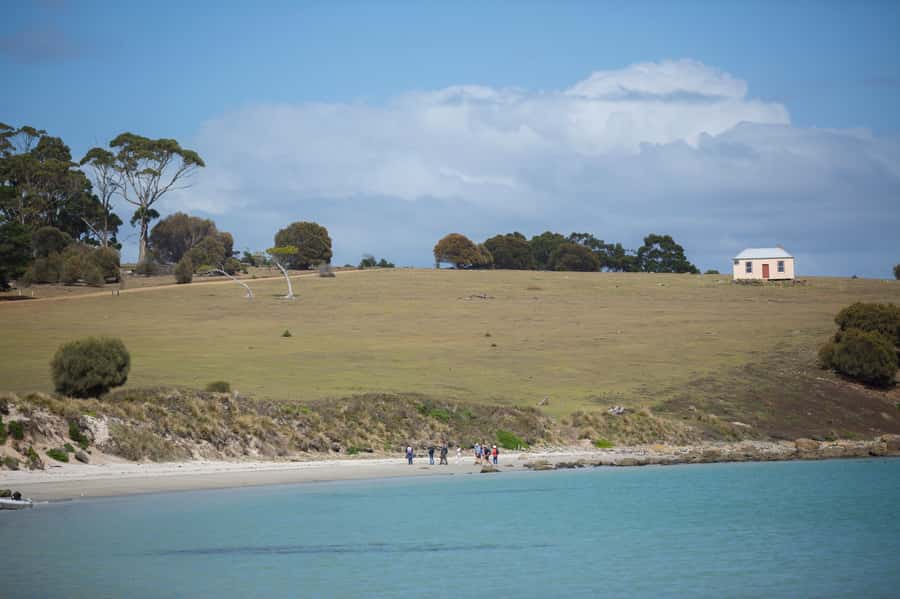 Hobart: Maria Island National Park Active Full-Day Tour - Food, Water, and What to Pack