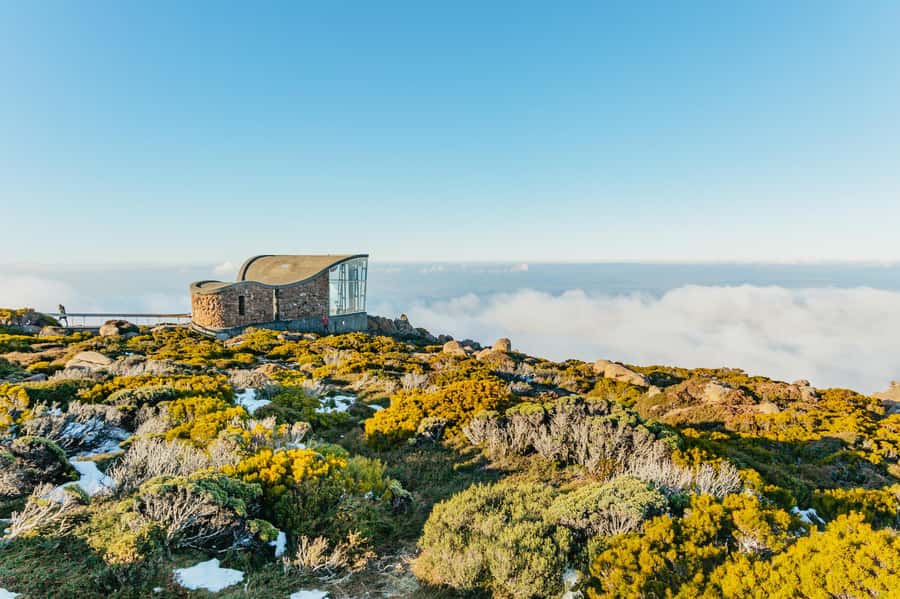 Hobart: Mt Wellington, Mt Field, Bonorong and Richmond Trip - The day in five useful points