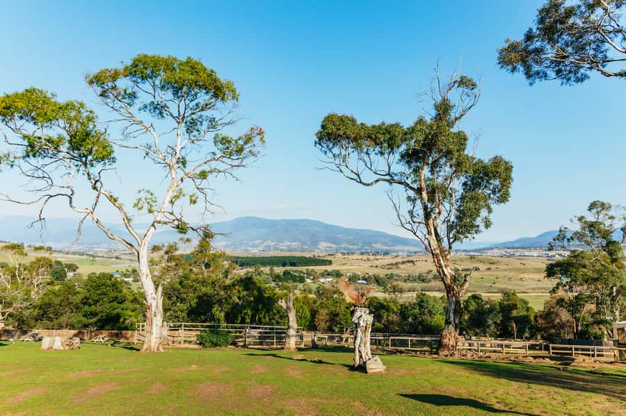 Hobart: Mt Wellington, Mt Field, Bonorong and Richmond Trip - The guides are a major part of the value