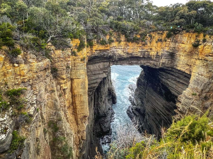 Hobart: Port Arthur, Harbor Cruise and Isle of the Dead Tour - The Carnarvon Bay Cruise and Isle of the Dead