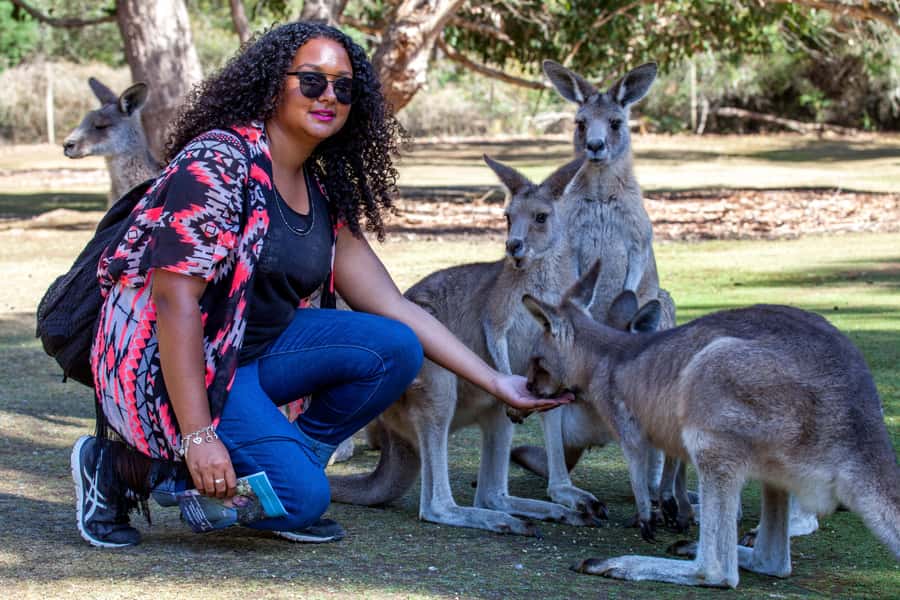 Hobart: Port Arthur, Richmond & Tassie Devil - Active Tour - Port Arthur, Tasmania’s convict settlement
