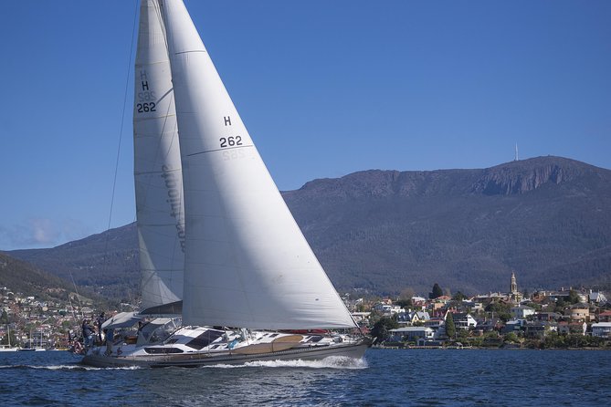 Hobart Sailing Experience - The Iron Pot lighthouse and possible wildlife sightings
