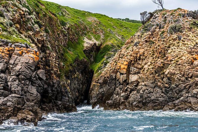 Hobart Sightseeing Cruise including Iron Pot Lighthouse - Key points before you book
