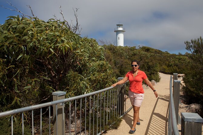 Hobart: Wineglass Bay & Freycinet National Park - Active Day Tour - Why Wineglass Bay is worth the long ride