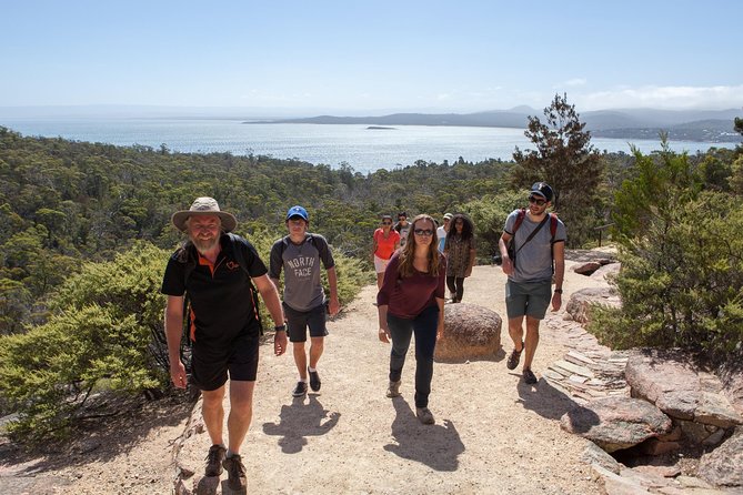 Hobart: Wineglass Bay & Freycinet National Park - Active Day Tour - Choosing Wineglass Bay Beach or the easier route