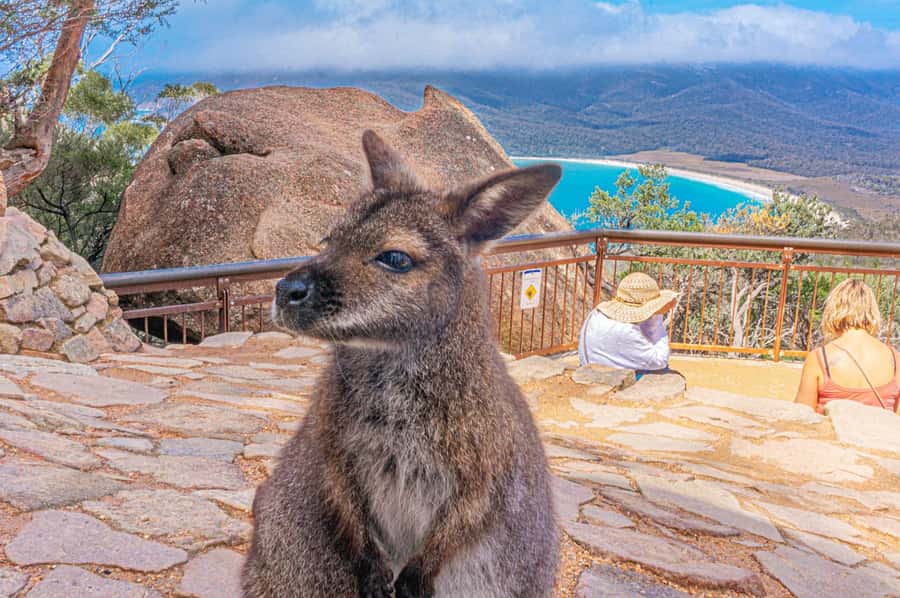 Hobart: Wineglass Bay, Freycinet Park, and Richmond Tour - Starting with breakfast beyond Hobart