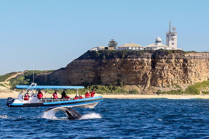 Humpback Whale Encounter Tour from Newcastle - Leaving Newcastle Harbour for the Hunter Coast