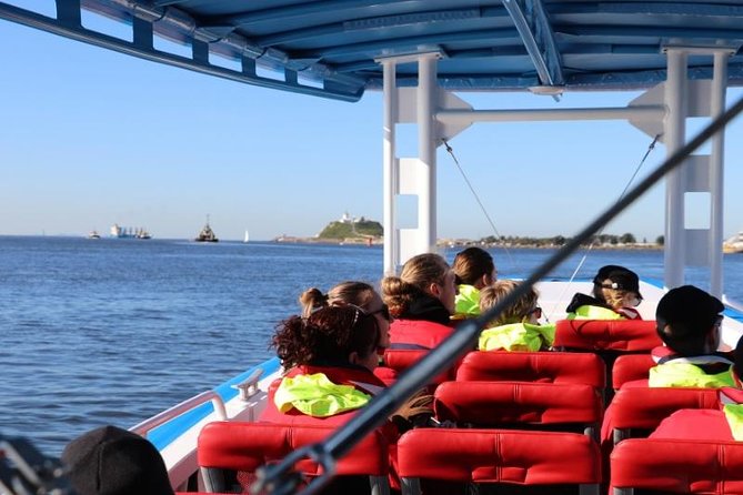 Humpback Whale Encounter Tour from Newcastle - Weather, swells, and what to wear