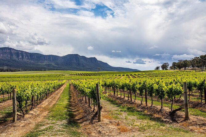 Hunter Valley Wine Tasting Tour from Sydney - Key points at a glance