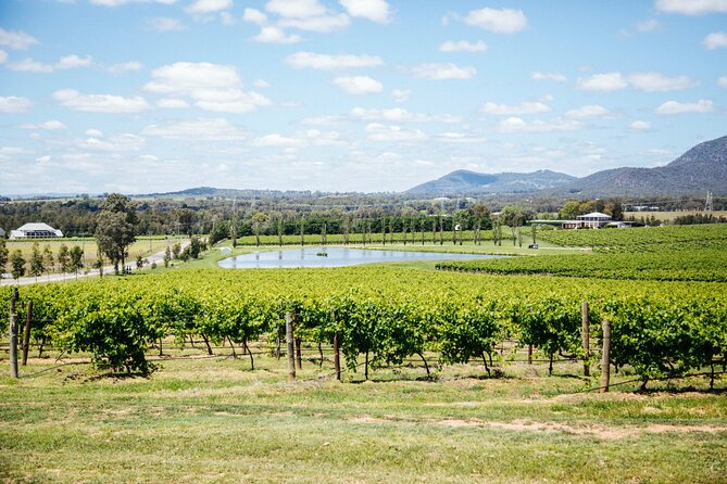 Hunter Valley Wine Tasting Tour from Sydney - A long but easy day from Sydney