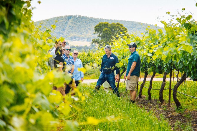 Hunter Valley Wine Tasting Tour from Sydney - Hunter Farm Wines brings cheese into the picture