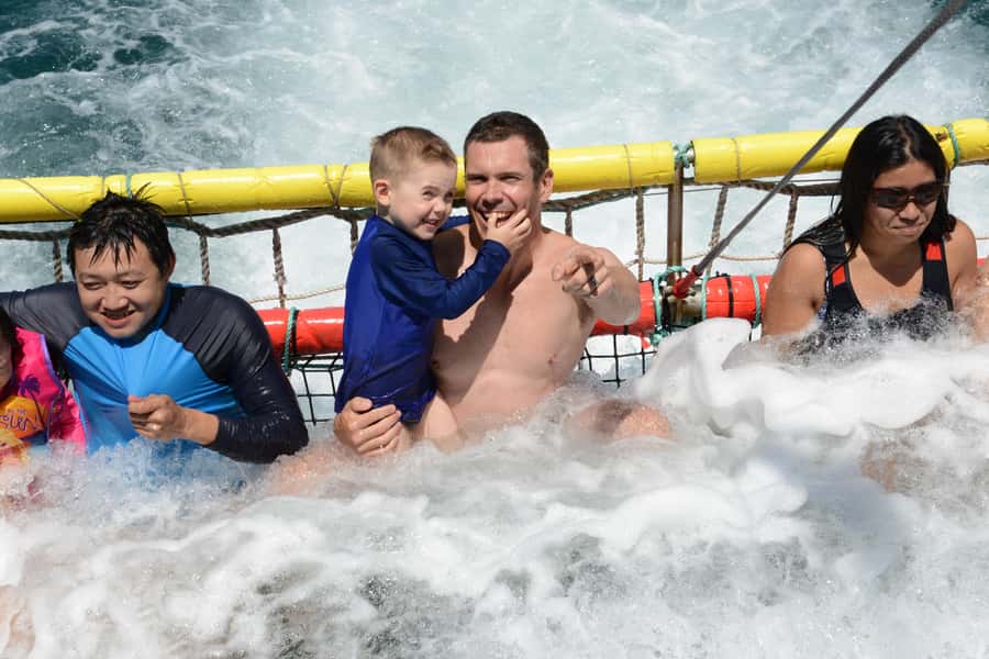 Huskisson: Dolphin Cruise & Boom Netting Experience - Why this Jervis Bay cruise works so well