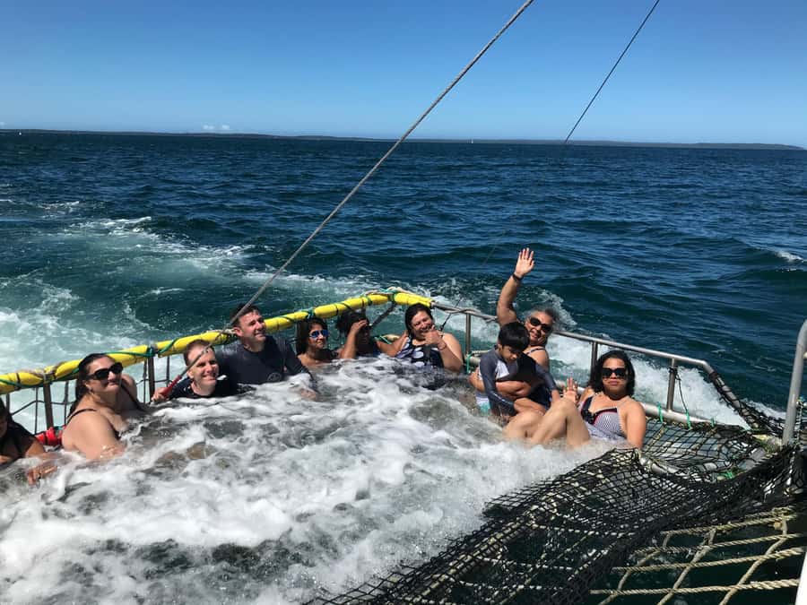 Huskisson: Dolphin Cruise & Boom Netting Experience - Value, booking, and cancellation