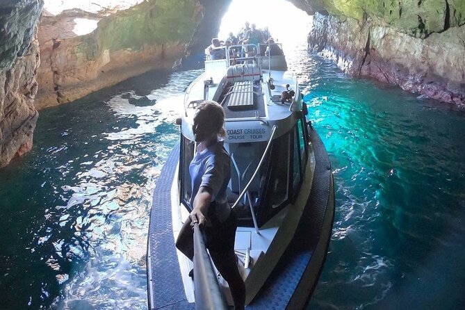 Ile Des Phoques and Maria Island Cruise and Walk Day Tour with Lunch - How the sea conditions affect the experience
