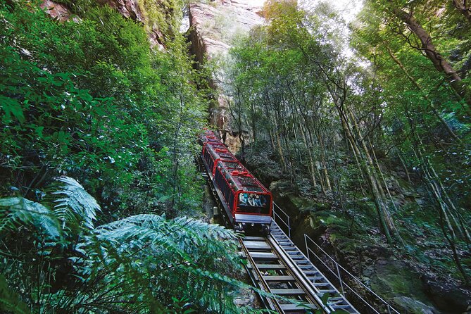 Intimate Blue Mountains Wild Kangaroos & Sunset for Nature Lovers - Landslide Lookout and Anvil Rock