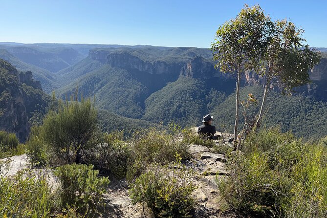 Intimate Blue Mountains Wild Kangaroos & Sunset for Nature Lovers - Govetts Leap and the Grose Valley