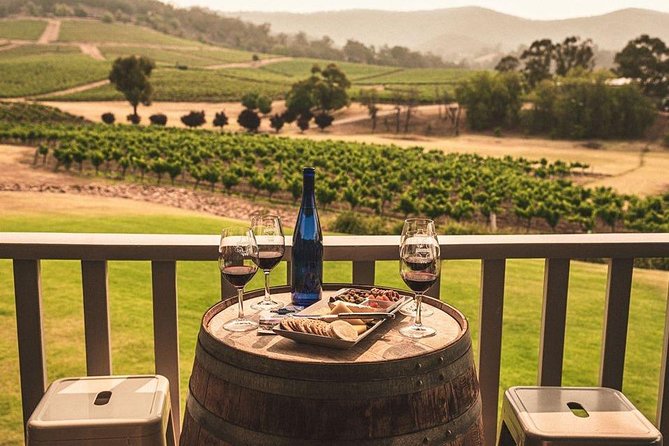 Ivanhoe Wines: Trip Advisor Premium Wine Tasting - A seated tasting with room to ask questions