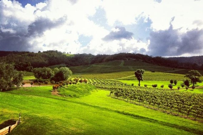 Ivanhoe Wines: Trip Advisor Premium Wine Tasting - The deck views are part of the appeal