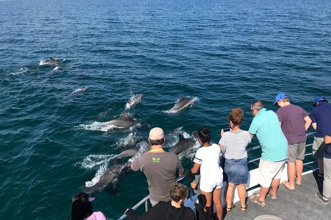 Jervis Bay Dolphin Cruise - Key things to know before you board