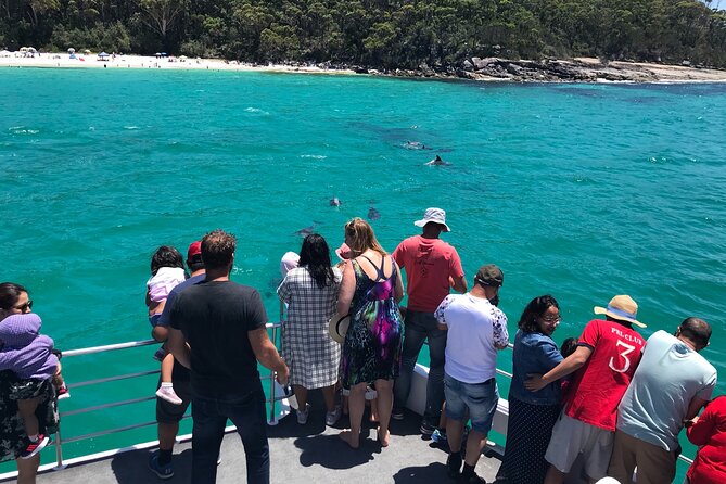 Jervis Bay Dolphin Cruise - How the crew affects the experience