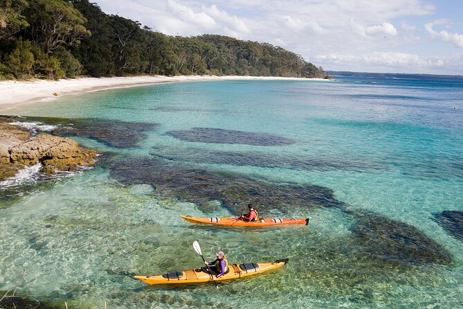 Jervis Bay Whale Watching Tour - Searching the bay and open sea