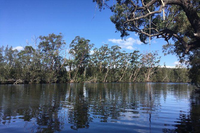 Jervis Bay Whale Watching Tour - Taking photographs without missing the whale