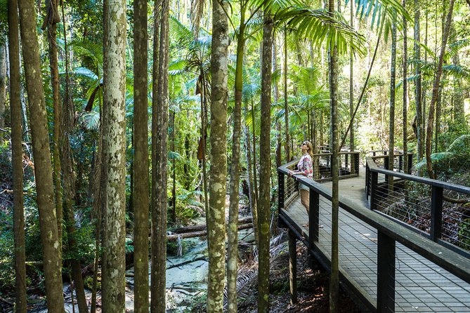 K'gari (Fraser Island) All Inclusive Day Tour - Why K’gari works well as a one-day tour