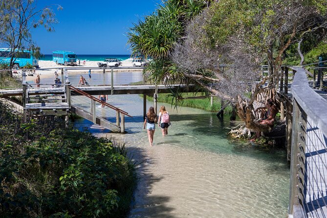 K'gari (Fraser Island) All Inclusive Day Tour - Lake McKenzie: the day’s brightest reward