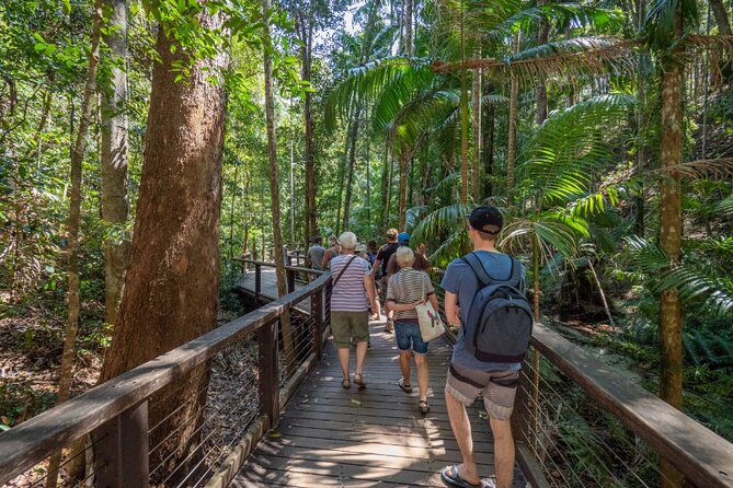 K'gari (Fraser Island) Small Group 4WD Adventure - From Noosa - Key points to know before booking
