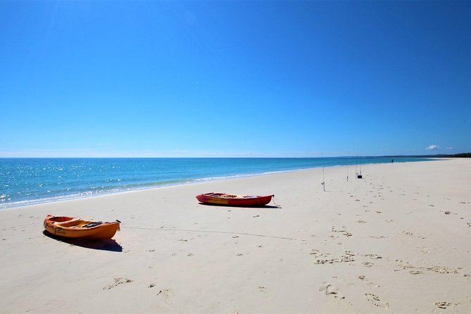 K'gari (Fraser Island) West Coast Half Day Cruise from Hervey Bay - Is This Good Value at $140?
