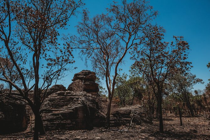 Kakadu Day Tour from Darwin with Offroad Dreaming - The vehicle, group size, and guide quality