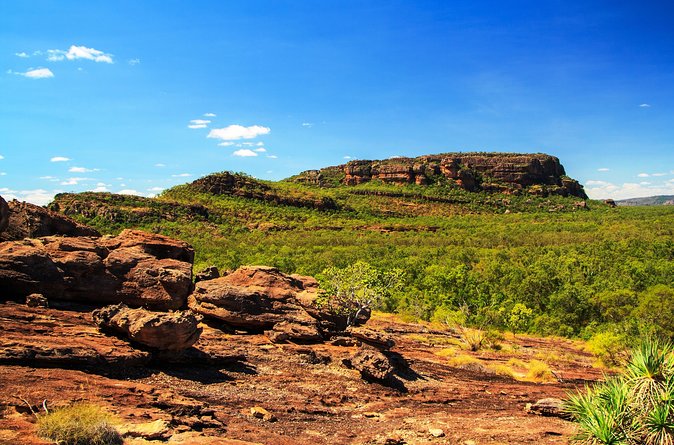 Kakadu, Nourlangie and Yellow Waters Tour from Darwin - Lunch at Cooinda Lodge