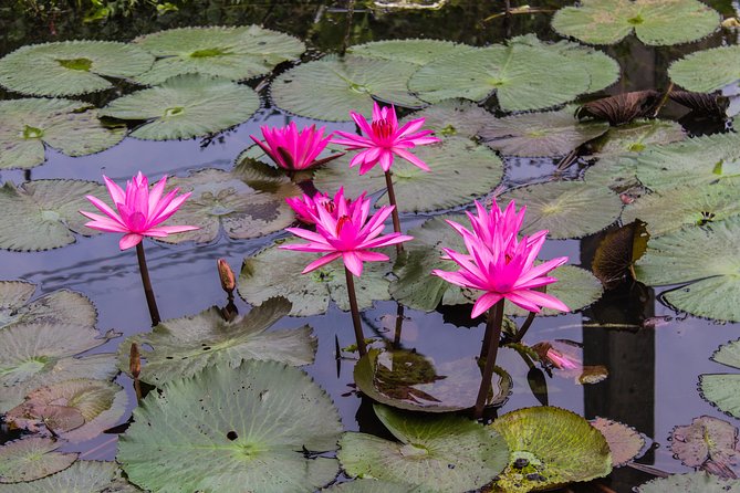 Kakadu, Nourlangie and Yellow Waters Tour from Darwin - The return to Darwin is part of the cost