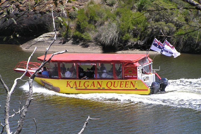 Kalgan Queen Scenic Cruises a four hour sheltered water wildlife tour daily fun. - Key things to know before you book